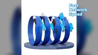 FTTH FTTxFTTB Ağ Fiber Optic Kablo HXCOWO Multimode Simplex ST ST OM4 İletişim Zırhlı Fiber Kablo Patch 2