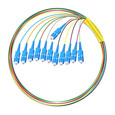 satın al HXCOWO 12 Core SC Bundle Tail Single Mode Telecom Grade Baş ve Kuyruk Fiber Optic Pigtail Çevrimiçi üretim
